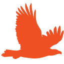 Aetos Systems Inc