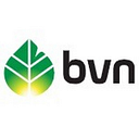 Bvn