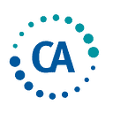 Cyber Advisors