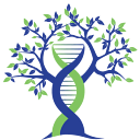 Evexias Health Solutions