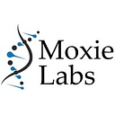 Moxie Labs