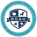 noah veterinary hospital