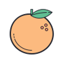 Orange Grove