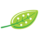 The Green Air Group Llc