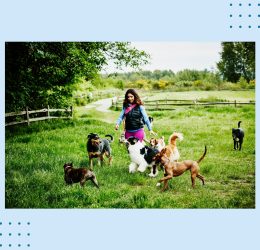 side hustle statistics